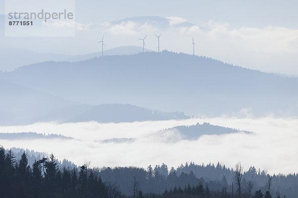 Deutschland  Baden-Württemberg  Schwarzwald  Windkraftanlagen vernebelt