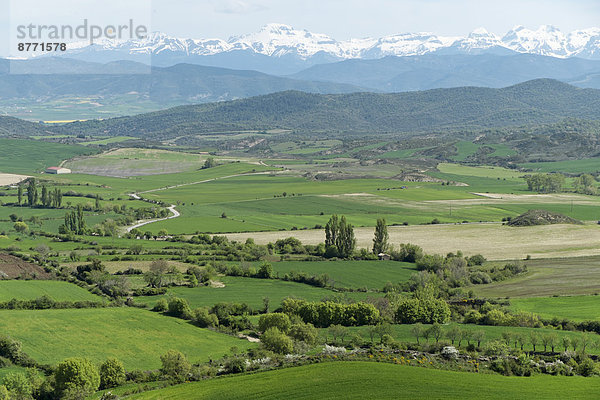 Spanien  Felder und Pyrenäen