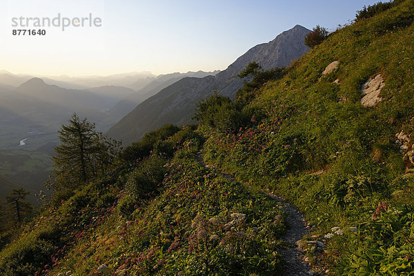 Deutschland  Oberbayern  Berchtesgadener Land  Hoher Goell  Blick auf Dachstein und Salzachtal  abends