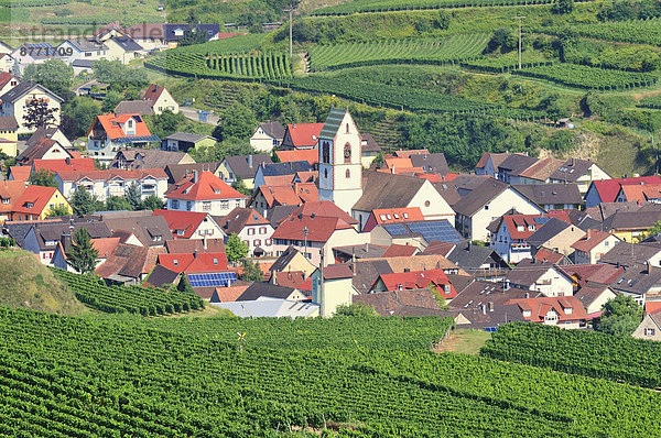 Ausblick auf die Weinberge und 0berbergen  Vogtsburg  Kaiserstuhl  Baden-Württemberg  Deutschland