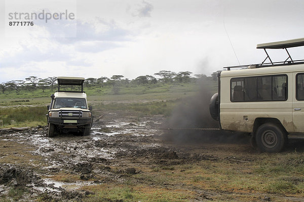 Safarifahrzeuge  Abschleppaktion  Schlammloch  Serengeti  Tansania