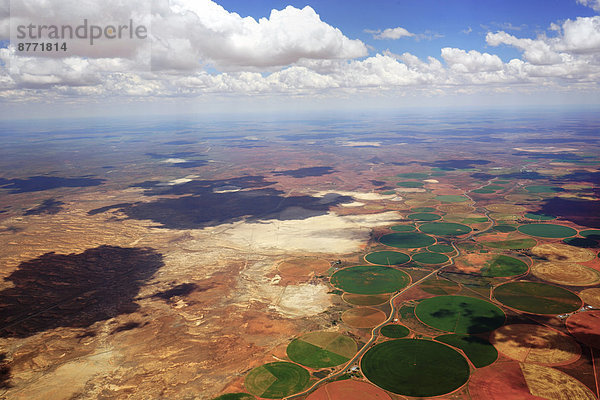 Kreisförmige Felder  bewässert durch einen Bewässerungskanal zwischen dem Oranje River und dem Riet in der Wüste Karoo  bei Oppermans  Provinz Freistaat  Südafrika