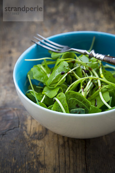 Schale mit winterlichem Portulak-Salat (Claytonia perfoliata) auf Holztisch
