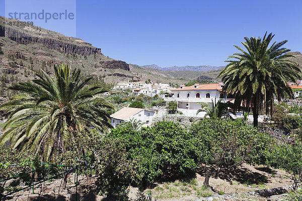 Ortsansicht Fataga  Gran Canaria  Kanarische Inseln  Spanien