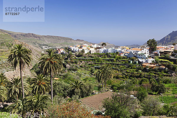 Kanaren Kanarische Inseln Gran Canaria Spanien