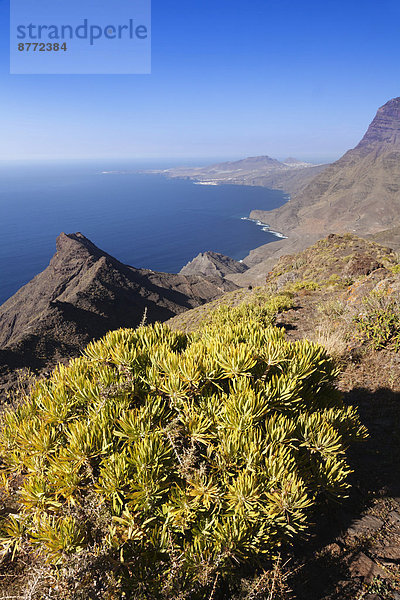 Anden Verde  Westküste mit Puerto de las Nieves und Berg Faneque Berg  Gran Canaria  Kanarische Inseln  Spanien