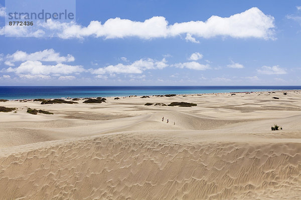 Dünen und Strand von Maspalomas  Gran Canaria  Kanarische Inseln  Spanien
