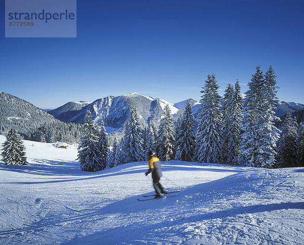 Skipiste am Stümpfling  hinten der Jägerkamp  Spitzingsee-Gebiet  Mangfallgebirge  Oberbayern  Bayern  Deutschland