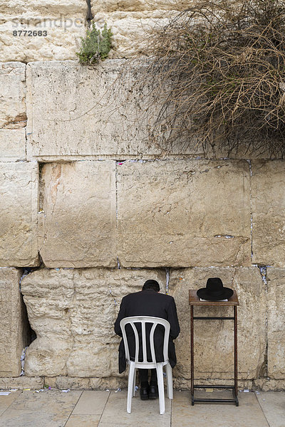 Betender ultraorthodoxer Jude an der Klagemauer  von hinten  Jerusalem  Israel