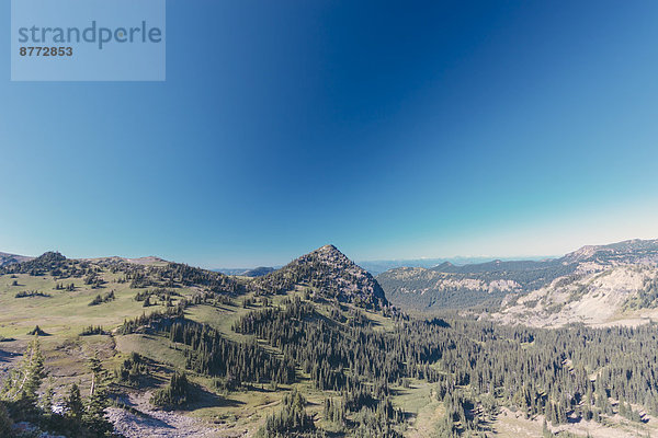 USA  Washington State  View over Mt Rainier National Park