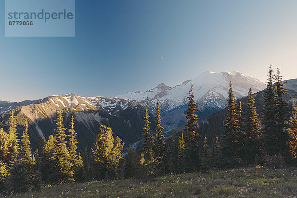 USA  Washington State  Blick über den Mt Rainier National Park