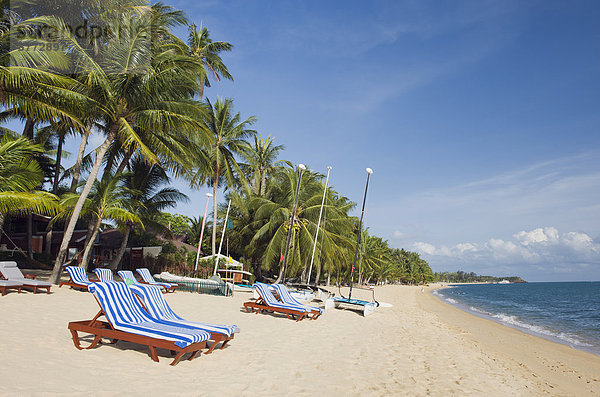 Liegen am Palmenstrand  Mae Nam Beach  Insel Ko Samui  Thailand