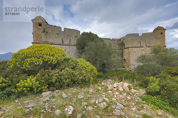 Mittelalterliches Fort du Mont Alban auf dem gleichnamigen Hügel  bei Nizza  Département Alpes Maritimes  Region Provence Alpes Côte d'Azur  Frankreich