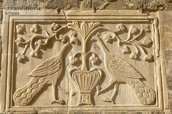 Relief  zwei Pfauen auf der Fassade des Markusdoms  Venedig  Venetien  Italien