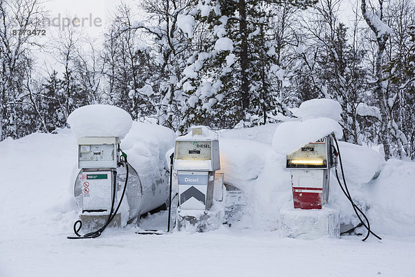 Tanksäulen im Schnee  Pokka  Finnland