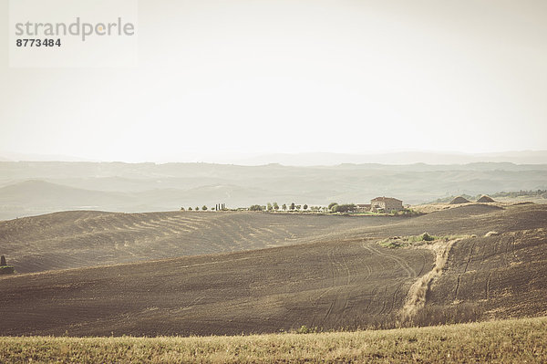 Italy  Tuscany  Val d'Orcia  Rolling landscape