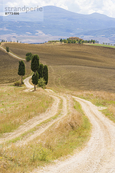 Italy  Tuscany  Val d'Orcia  Rolling landscape at Siena