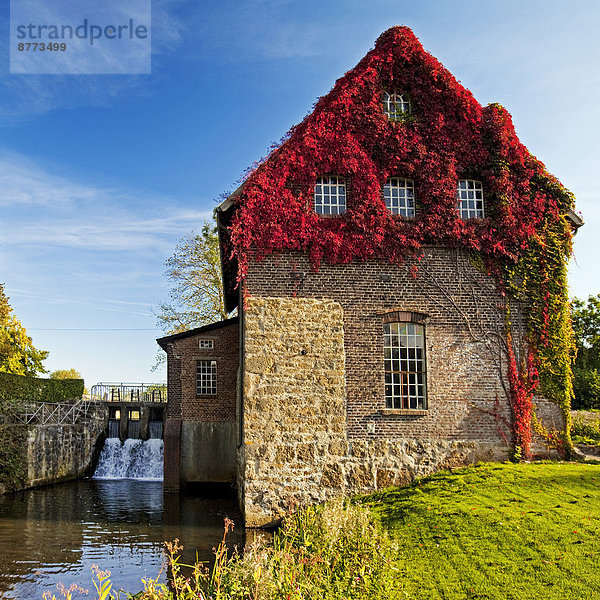 Tüshaus Mühle  Dorsten  Nordrhein-Westfalen  Deutschland