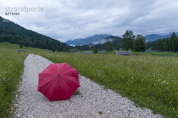 Deutschland  Bayern  Werdenfelser Land  Roter offener Schirm auf dem Wanderweg am Geroldsee
