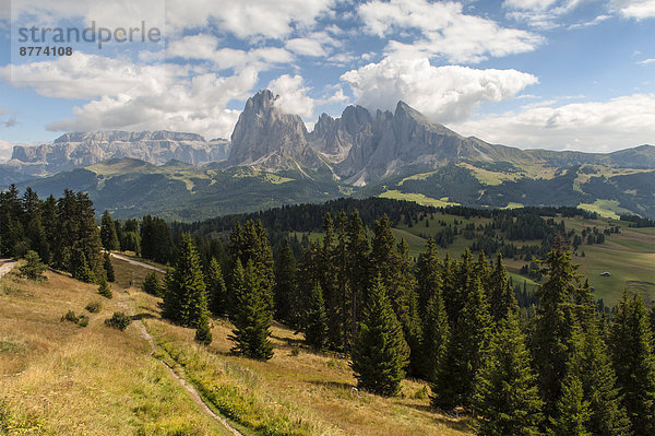 Italien  Südtirol  Dolomiten  Langkofelgruppe  Seiser Alm