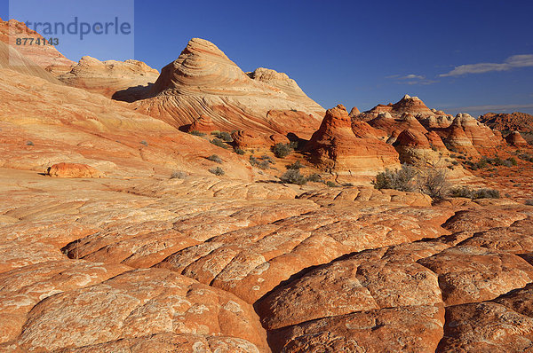 USA  Arizona  Colorado Plateau  Vermilion Cliffs  Coyote Buttes  Sandsteinfelsformationen am Paria Canyon