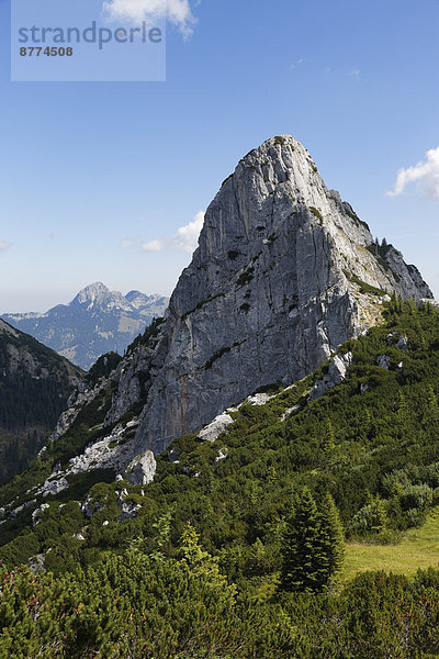 Deutschland  Bayern  Mangfallgebirge  Ruchenkoepfe bei Bayrischzell