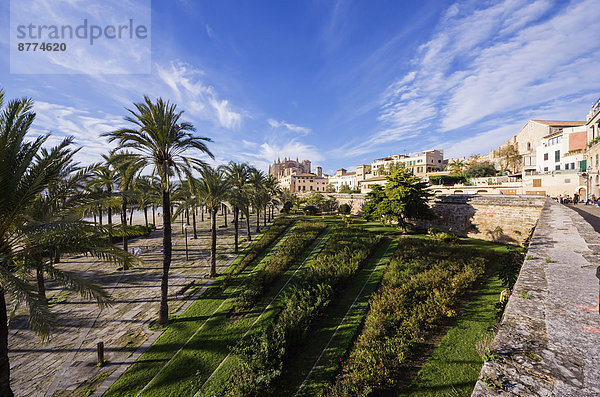 Spanien  Mallorca  Palma  Stadtbild