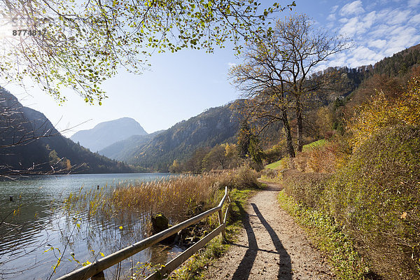 Germany  Bavaria  Upper Bavaria  Bad Reichenhall  view to Lake Thumsee in autumn