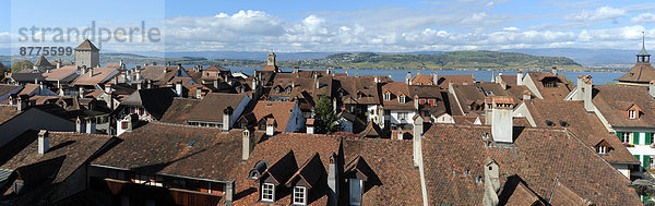 Dach Panorama Mittelalter Freiburg im Breisgau Schweiz