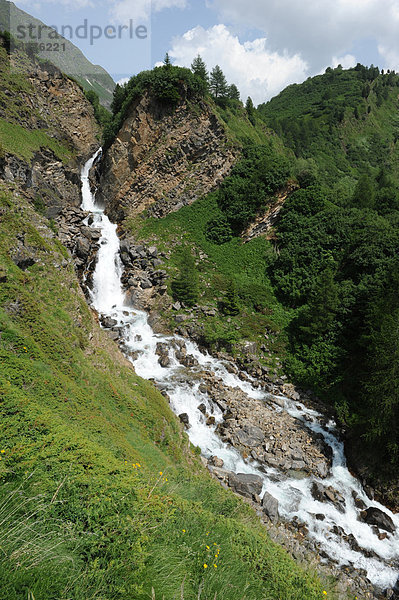 Felsbrocken  Steilküste  Wasserfall  Schweiz