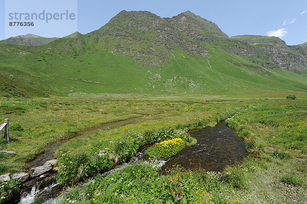 Landschaftlich schön  landschaftlich reizvoll  Berg  Bach  Wiese  Schweiz