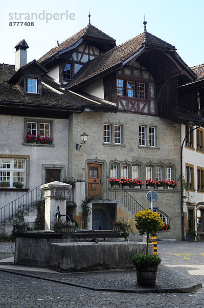 Wohnhaus Ziehbrunnen Brunnen Freiburg im Breisgau Schweiz