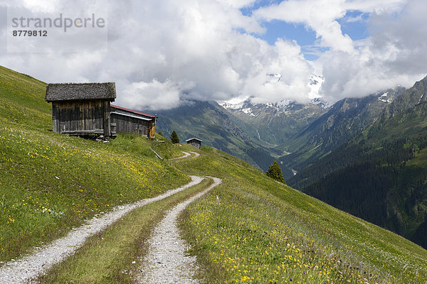 Blumenwiese  Landschaftlich schön  landschaftlich reizvoll  Hütte  Europa  Berg  Wolke  Landschaft  Natur  Davos  Schweiz  Weg