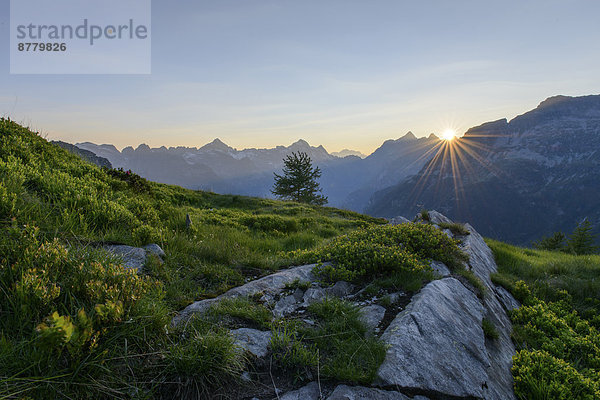Landschaftlich schön  landschaftlich reizvoll  Europa  Berg  Berggipfel  Gipfel  Spitze  Spitzen  Botanik  Sonnenuntergang  Landschaft  Natur  Alpen  Sonnenstrahl  Ansicht  Schweiz