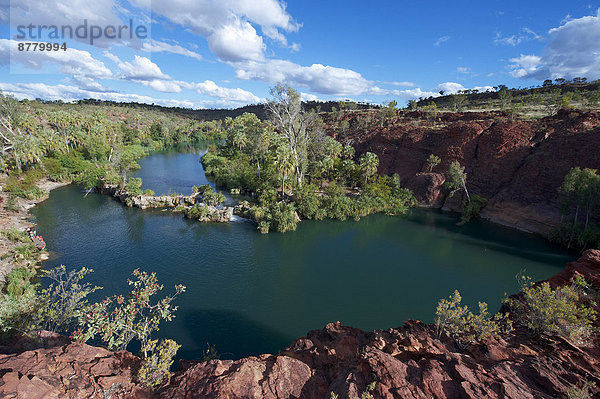 Wasserfall  Schlucht  Australien  Queensland