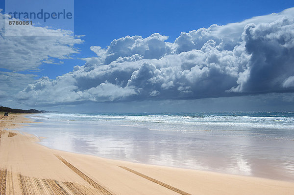 Nationalpark  Küste  Meer  Australien  Fraser Island  Queensland