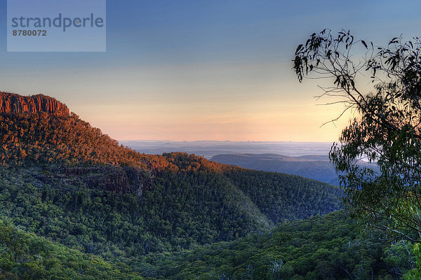 Nationalpark Sonnenuntergang Wald Holz Australien Stimmung New South Wales