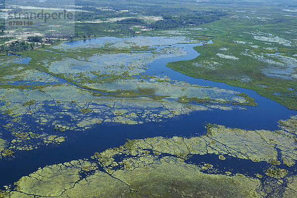 Landschaftlich schön  landschaftlich reizvoll  fließen  Fluss  Ansicht  Flussdelta  Delta  Luftbild  Fernsehantenne  Afrika  Botswana