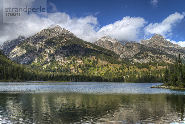 Vereinigte Staaten von Amerika  USA  Nationalpark  Amerika  Landschaft  Fluss  Grand Teton Nationalpark  Wyoming