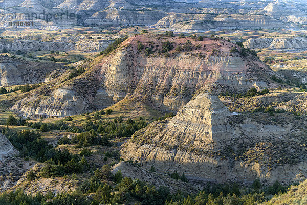 Vereinigte Staaten von Amerika  USA  Nationalpark  Felsbrocken  Amerika  North Dakota