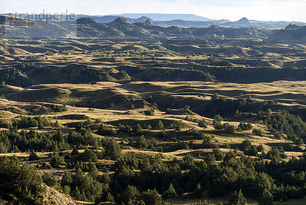 Vereinigte Staaten von Amerika  USA  Nationalpark  Amerika  Landschaft  North Dakota