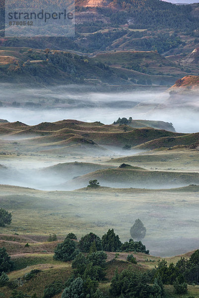 Vereinigte Staaten von Amerika  USA  Nationalpark  Amerika  Landschaft  Nebel  North Dakota