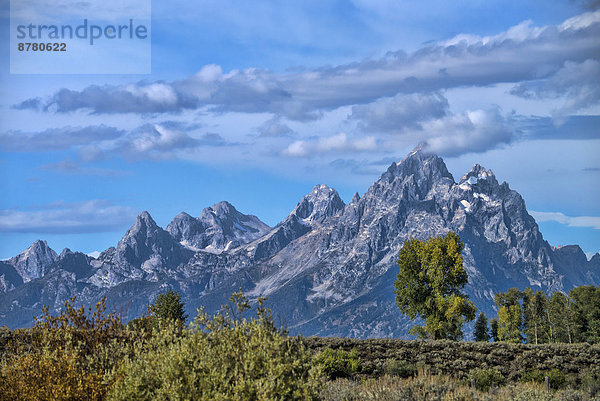 Vereinigte Staaten von Amerika  USA  Nationalpark  Berg  Amerika  Landschaft  Grand Teton Nationalpark  Wyoming