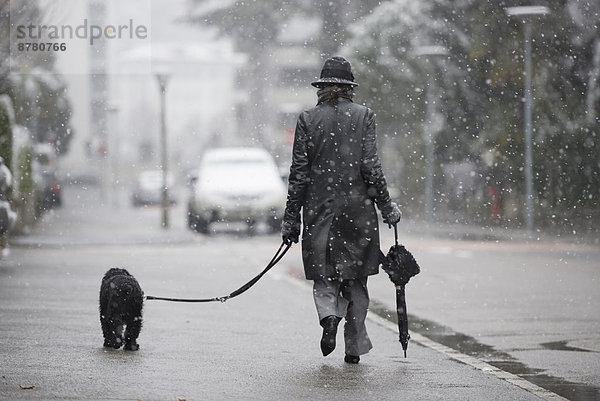 Frau gehen Regenschirm Schirm Straße Hund schneien