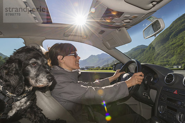 Europa  Frau  Auto  fahren  Hund  Schweiz