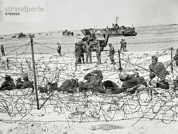Stacheldraht  Frankreich  Europa  Geschichte  Krieg  eindringen  Gefangenschaft  deutsch  Juni  Normandie  Zweiter Weltkrieg  II.