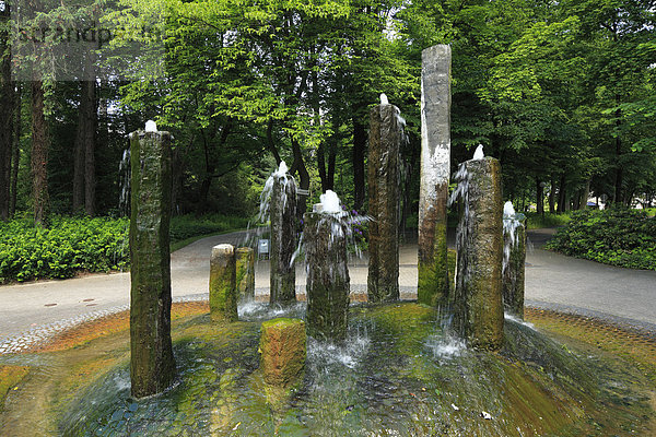 Naturschutzgebiet Springbrunnen Brunnen Fontäne Fontänen Europa Ziehbrunnen Brunnen Zierbrunnen Deutschland Nordrhein-Westfalen Westfalen Nordrhein-Westfalen