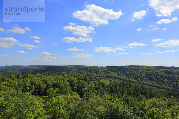 Naturschutzgebiet Europa Wald Holz sehen blicken Detmold Deutschland Nordrhein-Westfalen Westfalen Nordrhein-Westfalen