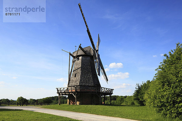 Windturbine  Windrad  Windräder  Naturschutzgebiet  Europa  Museum  Im Freien  Detmold  Deutschland  Nordrhein-Westfalen  Westfalen