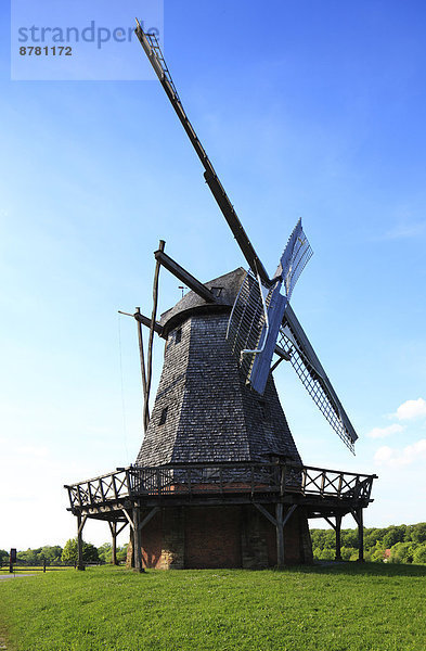 Windturbine  Windrad  Windräder  Naturschutzgebiet  Europa  Museum  Im Freien  Detmold  Deutschland  Nordrhein-Westfalen  Westfalen